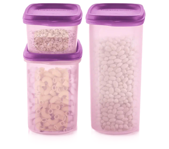 Компактус «Организатор» 500мл - фото 17073