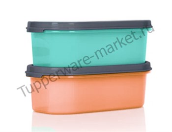 Компактус овальный (500мл) 2шт. оранжевый/зелёный - фото 17317