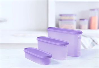 Компактус овальный (2,8л) сиреневый - фото 17450