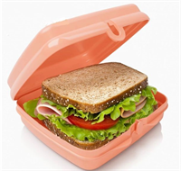 Лан-бокс «Эко+» коралловый