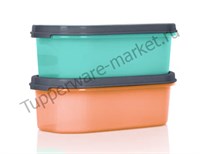 Компактус овальный (500мл) 2шт. оранжевый/зелёный