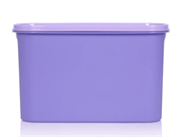 Компактус овальный (2,8л) сиреневый