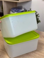 Охлаждающий лоток (2,5л) зелёная крышка